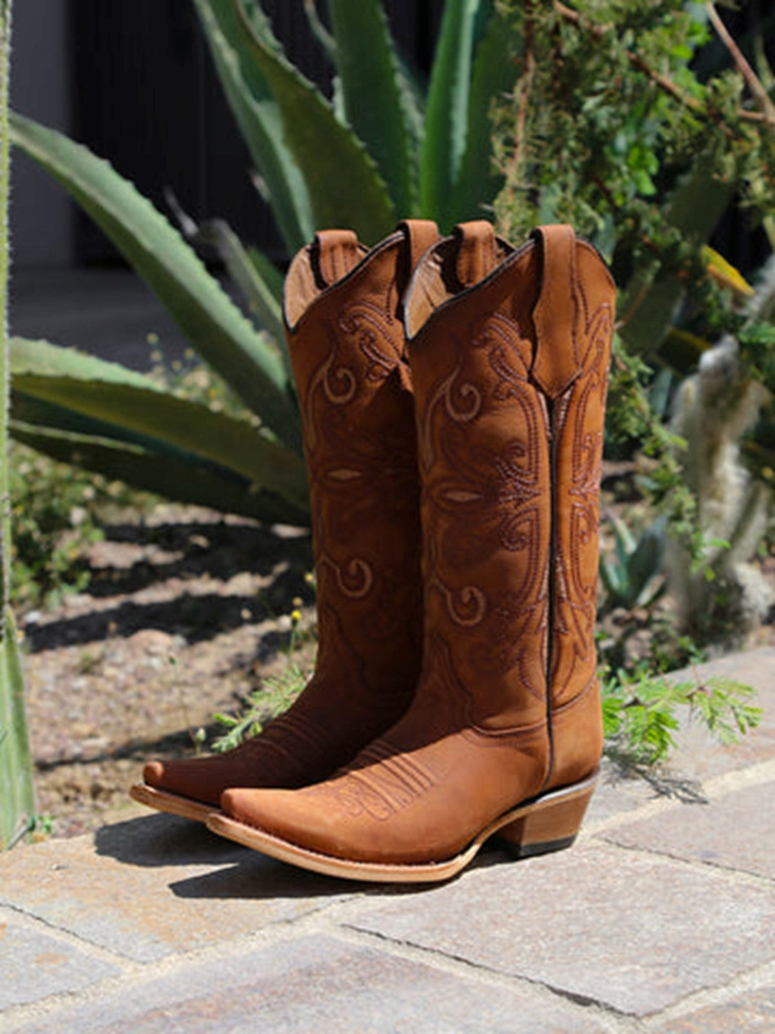 Shedron Embroidery by Corral